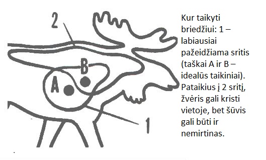 Kur taikyti į briedį